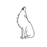 Animal Integration-DW 958